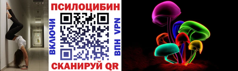 Псилоцибиновые грибы Cubensis  Шахты 
